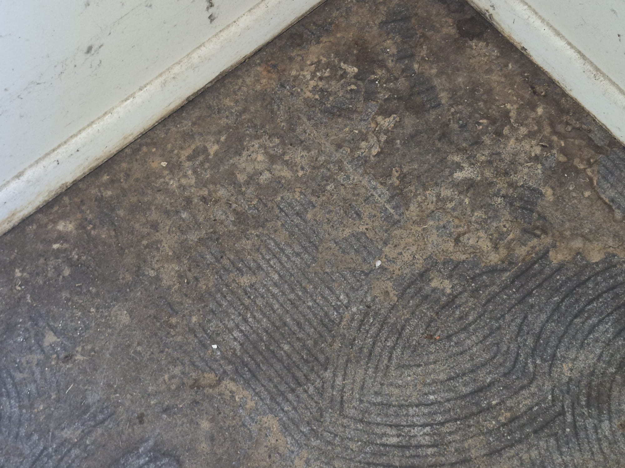 Carpet