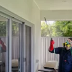 Pest Control Before Moving Out: Is It Mandatory in Brisbane? Pest Control Before Moving Out: Is It Mandatory in Brisbane?