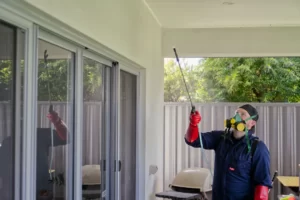 Pest Control Before Moving Out: Is It Mandatory in Brisbane?